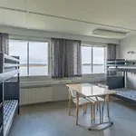 פארק נופש Youth Center Vasatokka 2*